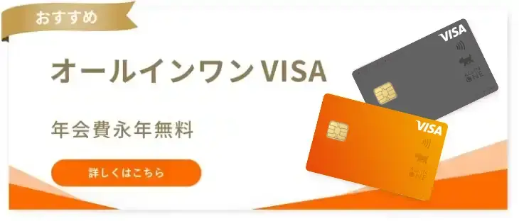 オールインワン VISA