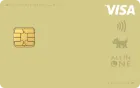 オールインワン VISA ゴールド