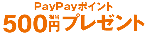PayPayポイント500円相当プレゼント