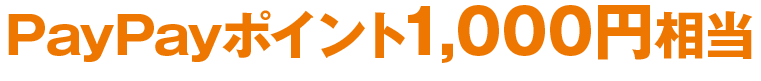 PayPayポイント1,000円相当