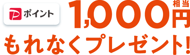 PayPayポイント1,000円相当もれなくプレゼント