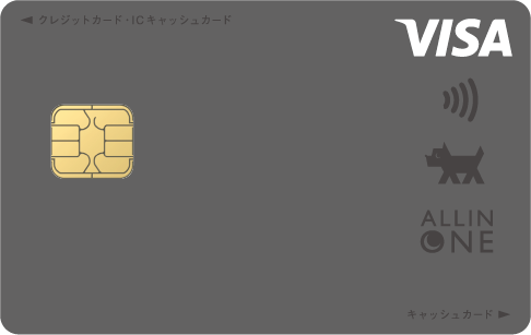 オールインワン VISA ブラック