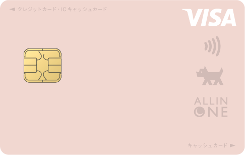 オールインワン VISA ロゼ