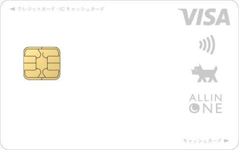 オールインワン VISA シルバー
