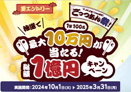 オールインワン(VISA)も対象！抽選で最大10万円が当たる！総額1億円キャンペーン！※VJA主催