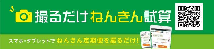 撮るだけねんきん試算