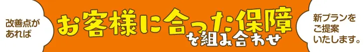 保障の見直し