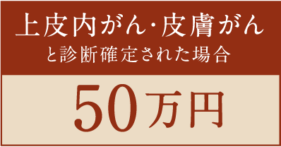 上皮内がん・皮膚がんと診断確定された場合 50万円