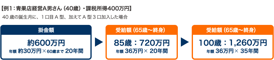 【例１：青果店経営A男さん（40歳）・課税所得400万円】