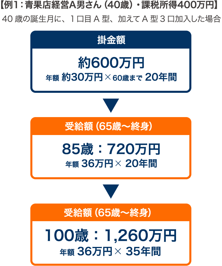 【例１：青果店経営A男さん（40歳）・課税所得400万円】