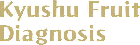 Kyushu Fruit Diagnosis