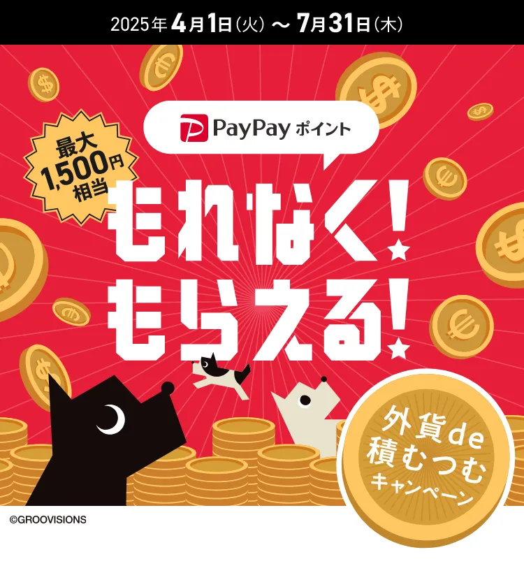 PayPayポイント もれなく！ もらえる！