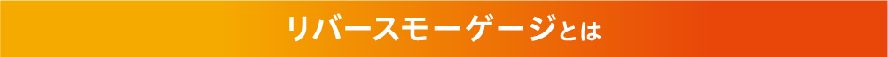 リバースモーゲージとは