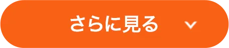 さらに見る