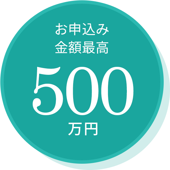 お申込み金額最高500万円