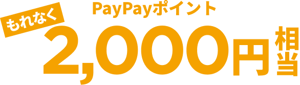 もれなくPayPayポイント2,000円相当