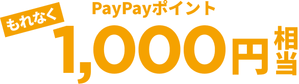 もれなくPayPayポイント1,000円相当