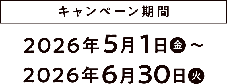 キャンペーン期間