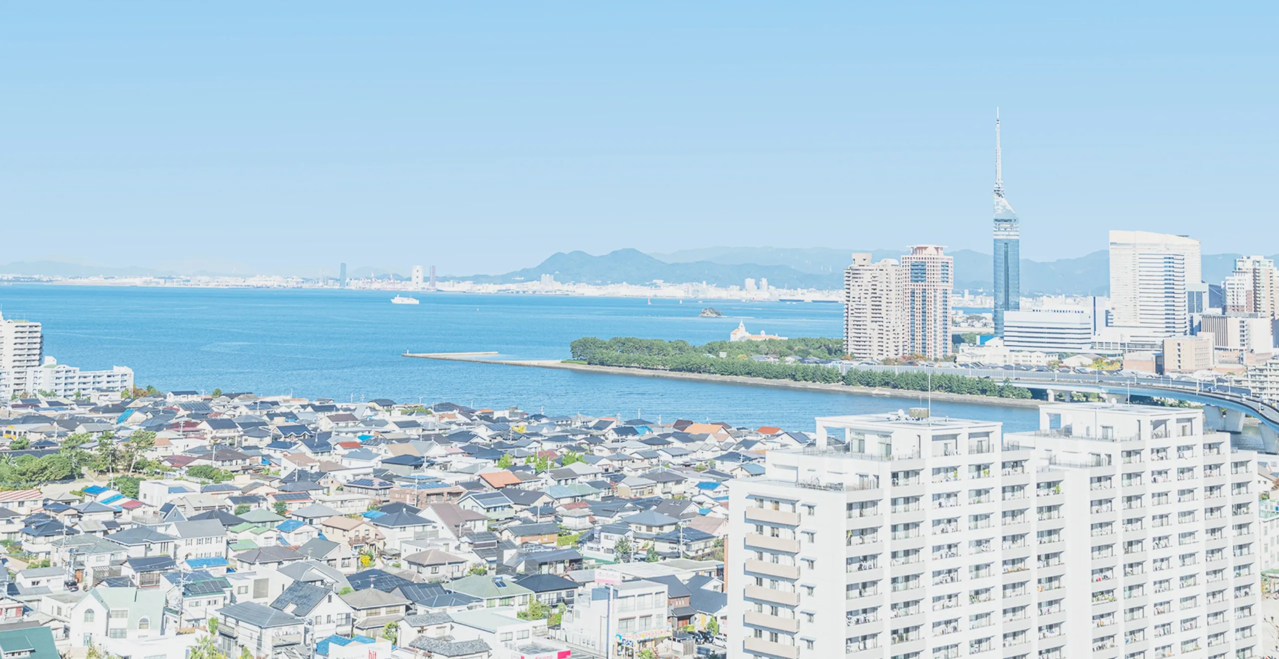 NCBでのあゆみ