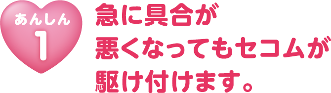 セコム ホームセキュリティについて 各種サービス 西日本シティ銀行 セコム ホームセキュリティについて 各種サービス 西日本シティ銀行