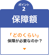 ポイント2 保障額　「どのくらい」保障が必要なのか？