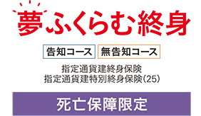 夢ふくらむ終身　死亡保障限定